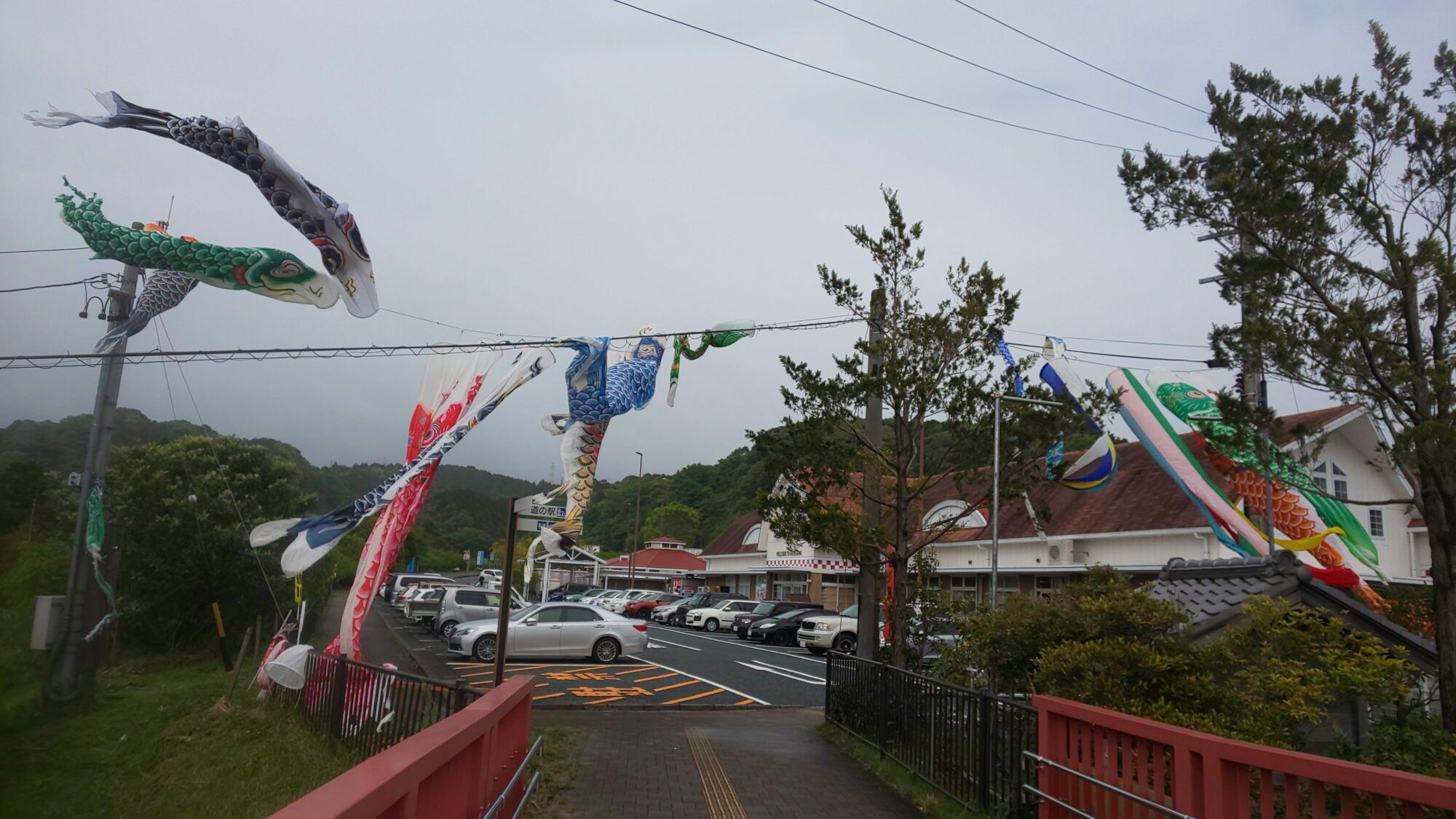 道の駅掛川にて…